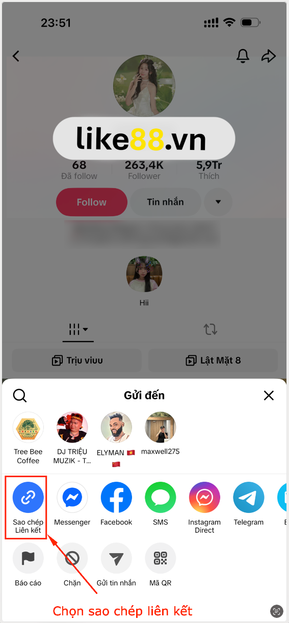 Bước 2 sao chép link hồ sơ TikTok trên điện thoại