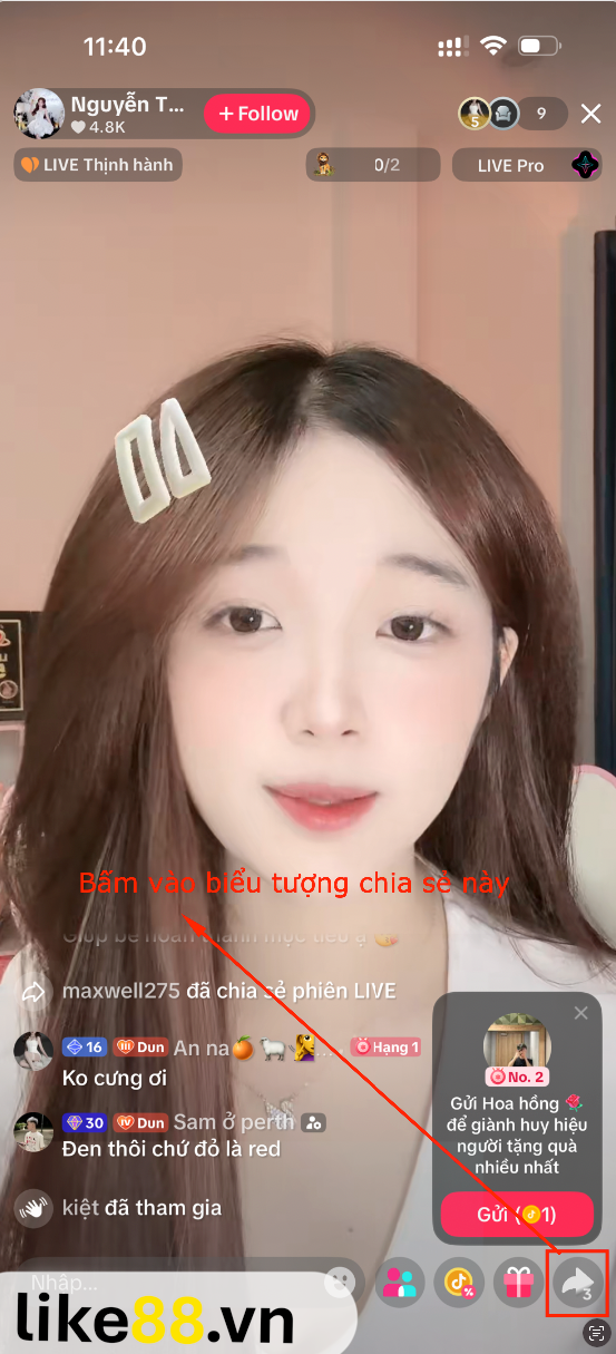 Bước 1 lấy link livestream TikTok trên điện thoại