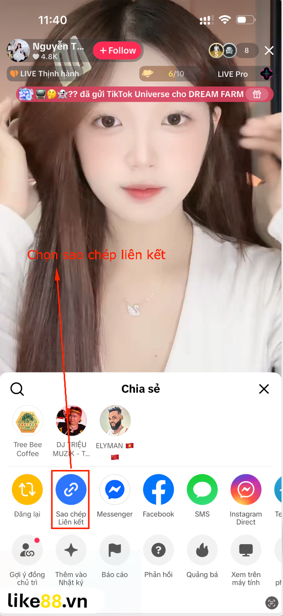 Bước 2 sao chép link livestream TikTok trên điện thoại